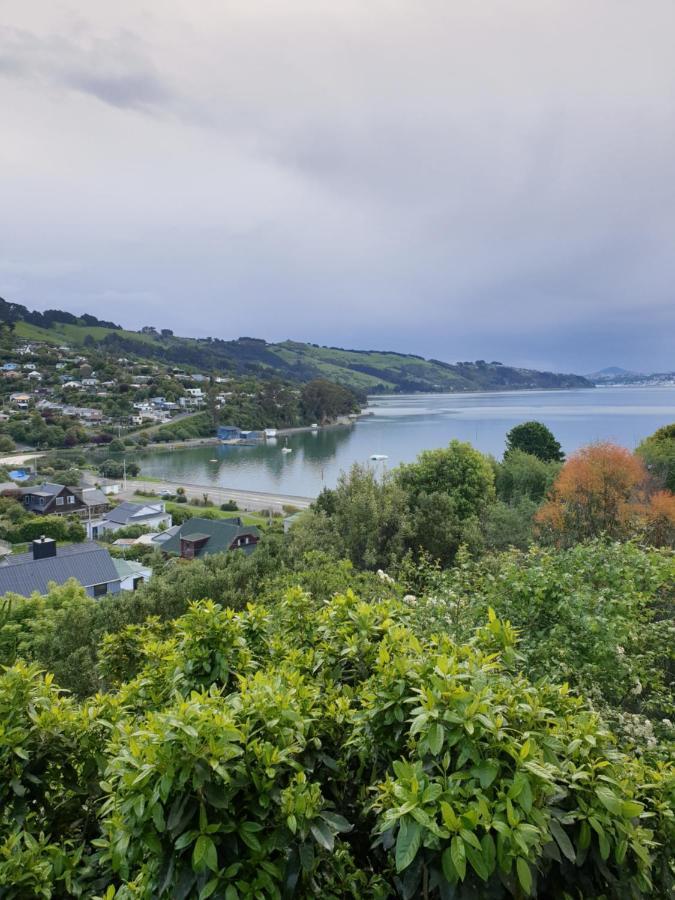 Tui2 Macandrew Bay Dunedin Exteriör bild